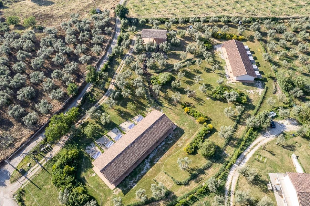 Agriturismo Il Bagolaro Nerola Exterior foto